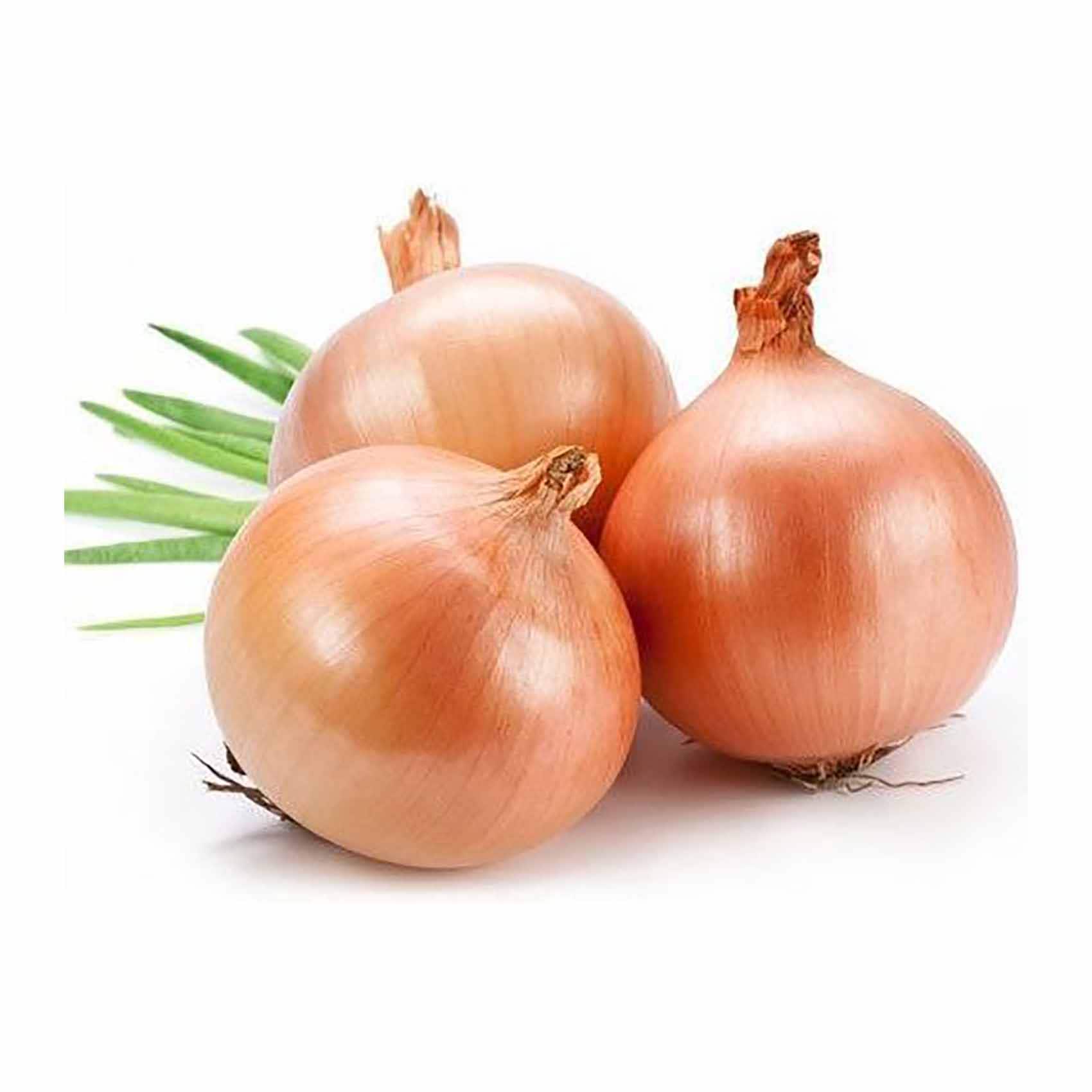 بصل ذهبي